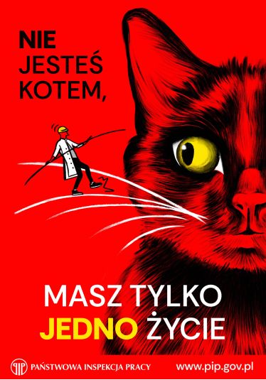 Patrycja Woźniak Nie jeteś kotem, masz tylko jedno życie